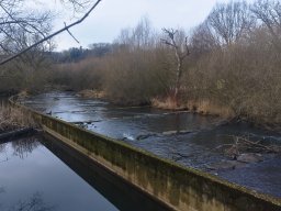 whatsapp image 2026-02-01 at 20.09.05